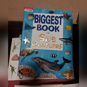 New Kids Educational Book Sea Creatures